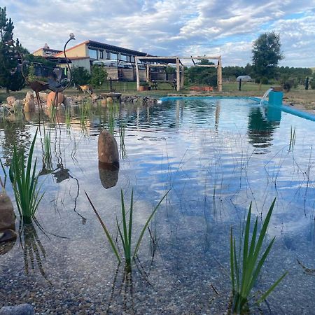 Hotel Albergue Bioclimatico Sabinares Del Arlanza Puentedura Eksteriør bilde
