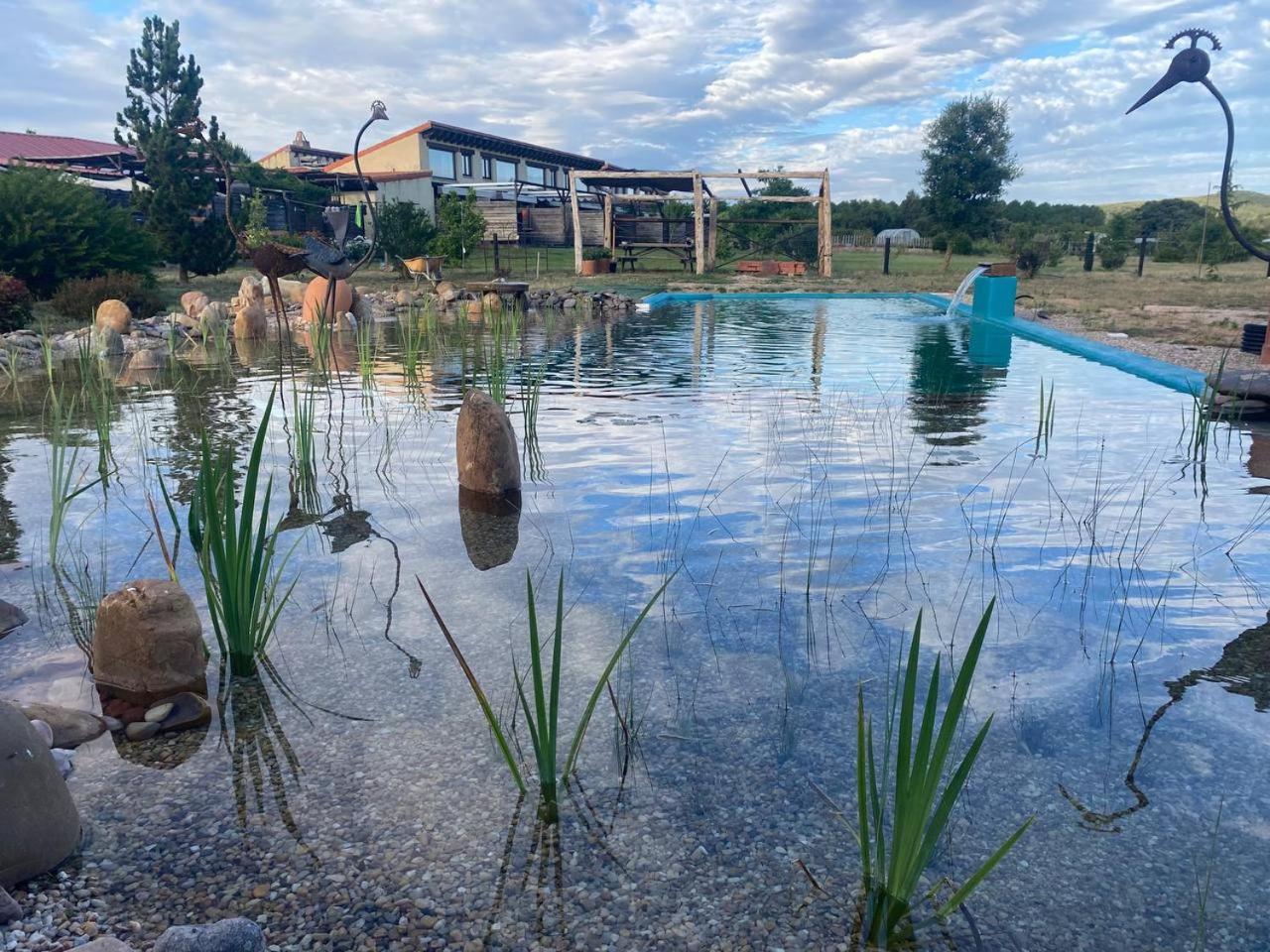 Hotel Albergue Bioclimatico Sabinares Del Arlanza Puentedura Eksteriør bilde