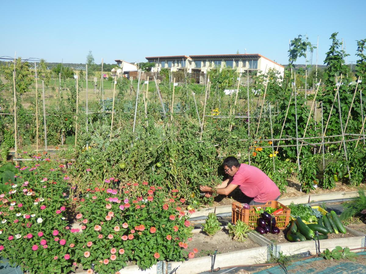 Hotel Albergue Bioclimatico Sabinares Del Arlanza Puentedura Eksteriør bilde