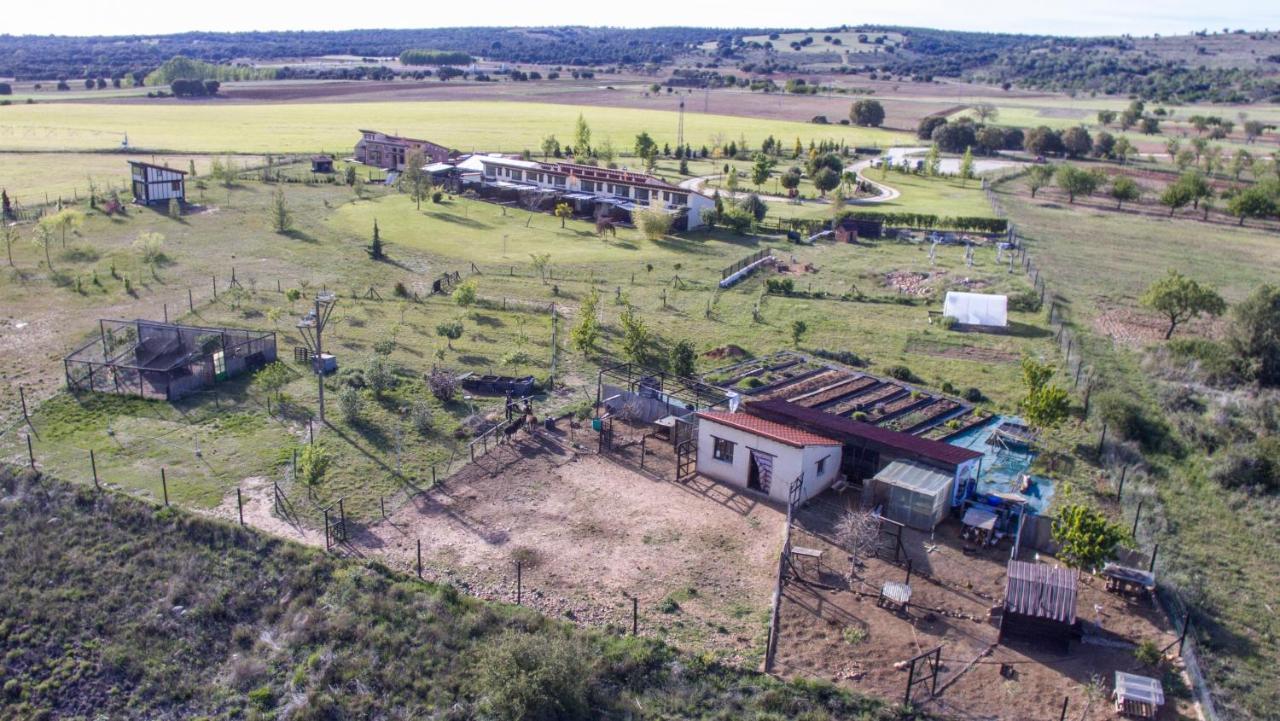 Hotel Albergue Bioclimatico Sabinares Del Arlanza Puentedura Eksteriør bilde